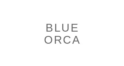 Blue Orca, LLC logo