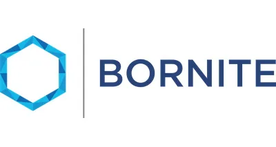 Bornite Capital Management LP logo