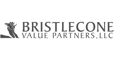 Bristlecone Value Partners, LLC logo