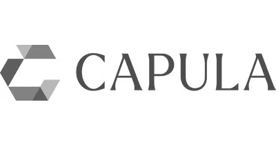 Capula Investment US LP logo