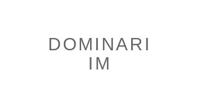 Dominari Im LLC logo