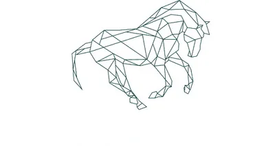 Gallant Capital Partners LLC logo