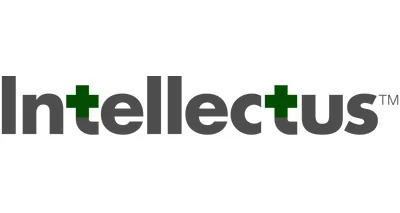 Intellectus Partners, LLC logo