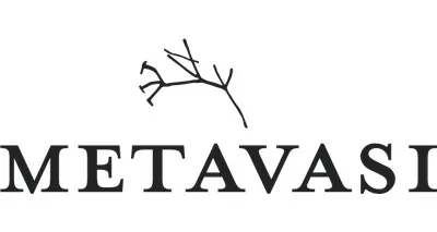 Metavasi Capital LP logo