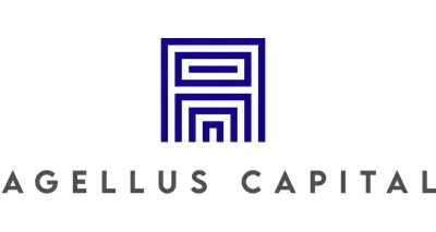 Palm Peak Capital, LLC logo