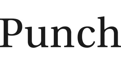 Punch & Associates Investment Management, Inc. logo