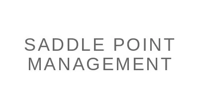 Saddle Point Management, L.P. logo