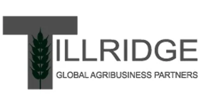 Tillridge Capital Partners, LLC logo