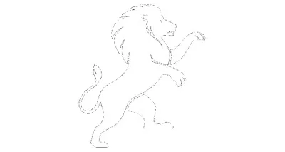 Twin Lions Management LLC logo
