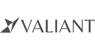 Valiant Capital Management, L.P. logo
