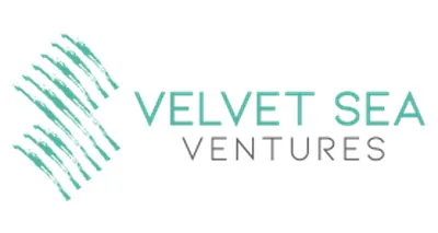 Vsv Management, LLC logo