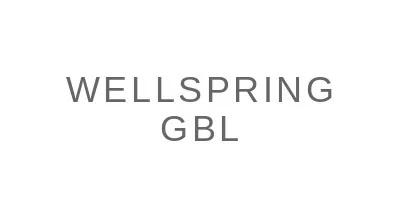 Wellspring Gbl, LLC logo